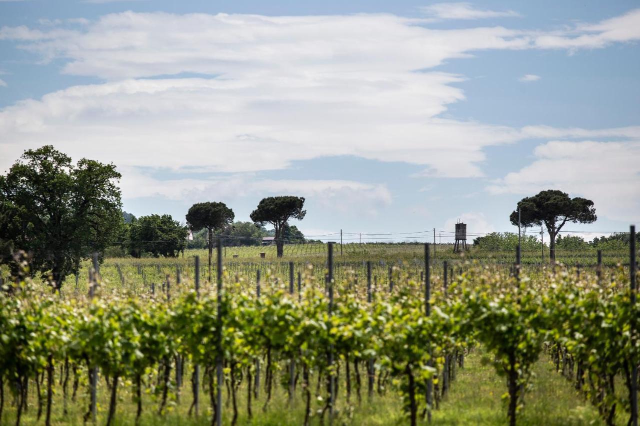 Agriturismo Trere Guest House Faenza Exterior photo